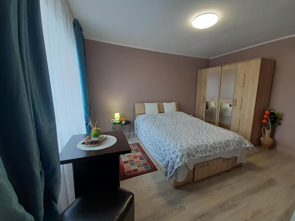 Studio Ultracentral Cu Balcon 오네슈티 외부 사진