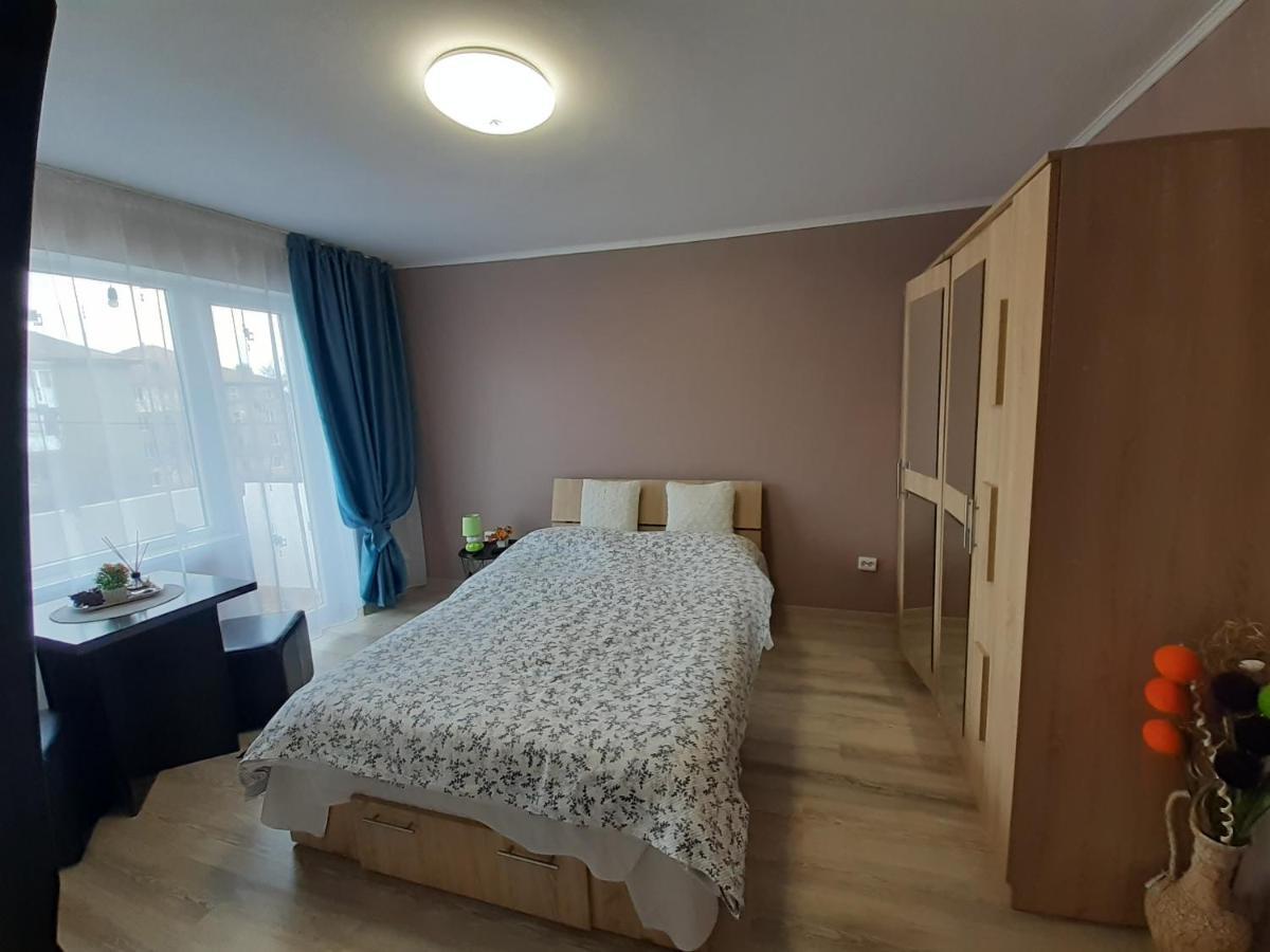 Studio Ultracentral Cu Balcon 오네슈티 외부 사진