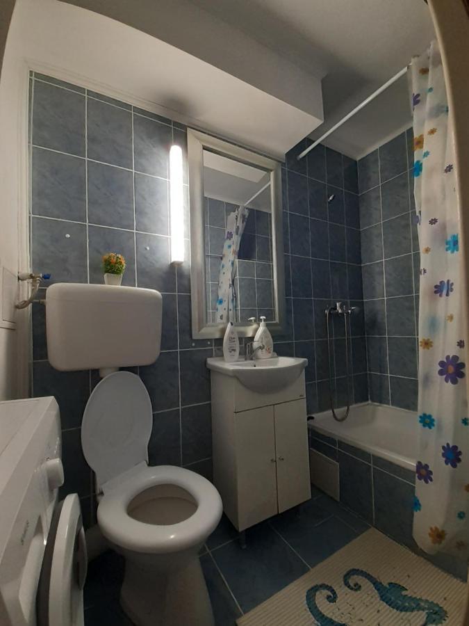 Studio Ultracentral Cu Balcon 오네슈티 외부 사진