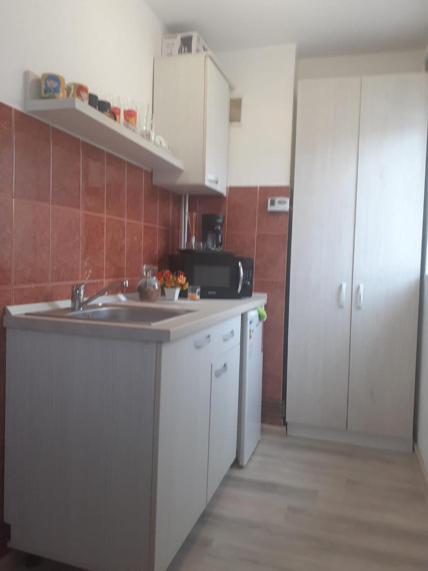 Studio Ultracentral Cu Balcon 오네슈티 외부 사진